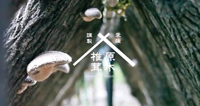愛媛謹製原木椎茸