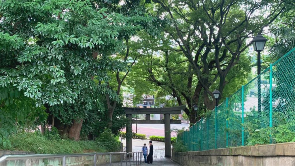 自然と生きていく我々の世界 ~樹の恵と共に~